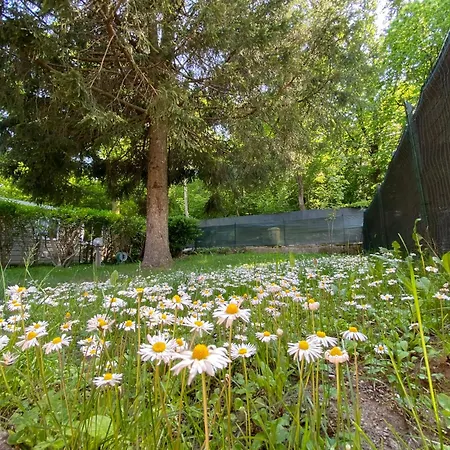 Camping Montorfano Campsite